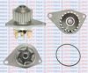 AQUAPLUS 85-7110 Water Pump